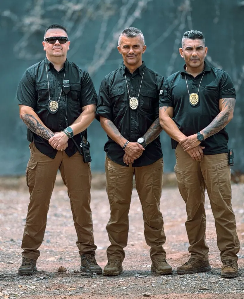 Planteamiento de esquemas de protección